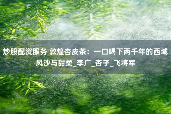 炒股配资服务 敦煌杏皮茶：一口喝下两千年的西域风沙与甜柔_李广_杏子_飞将军