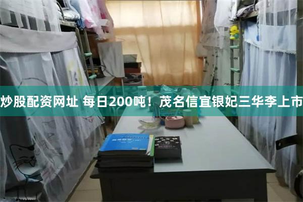 炒股配资网址 每日200吨！茂名信宜银妃三华李上市