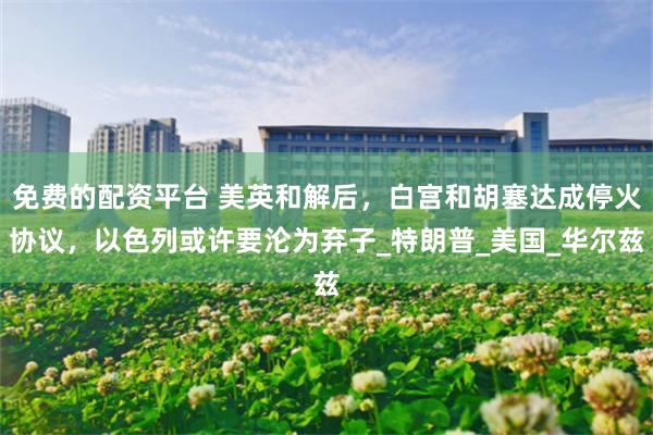 免费的配资平台 美英和解后，白宫和胡塞达成停火协议，以色列或许要沦为弃子_特朗普_美国_华尔兹