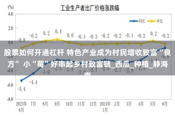 股票如何开通杠杆 特色产业成为村民增收致富“良方” 小“莓”好串起乡村致富链_西瓜_种植_静海