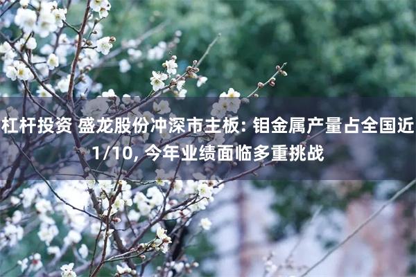 杠杆投资 盛龙股份冲深市主板: 钼金属产量占全国近1/10, 今年业绩面临多重挑战