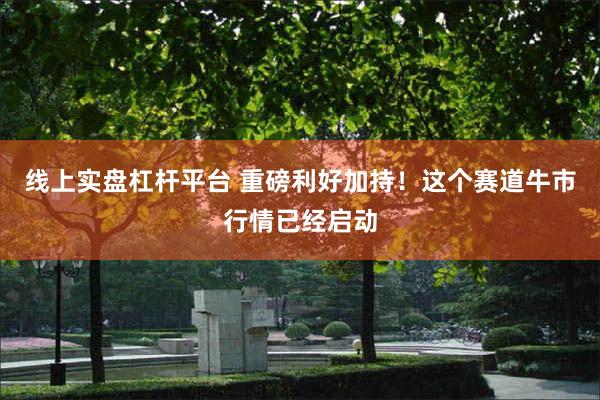 线上实盘杠杆平台 重磅利好加持！这个赛道牛市行情已经启动