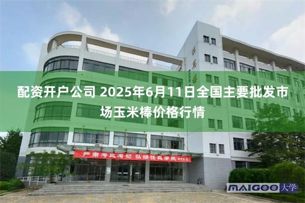配资开户公司 2025年6月11日全国主要批发市场玉米棒价格行情