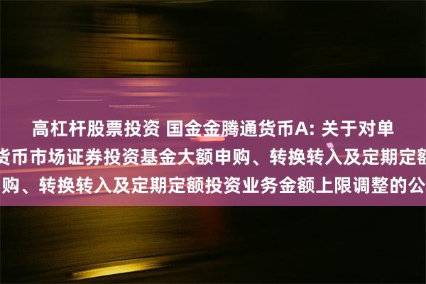 高杠杆股票投资 国金金腾通货币A: 关于对单个基金账户国金金腾通货币市场证券投资基金大额申购、转换转入及定期定额投资业务金额上限调整的公告