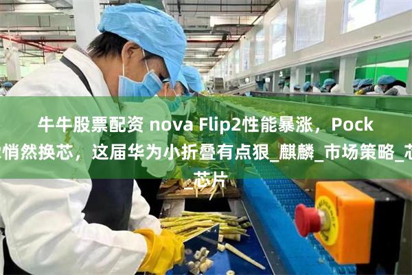 牛牛股票配资 nova Flip2性能暴涨，Pocket2悄然换芯，这届华为小折叠有点狠_麒麟_市场策略_芯片