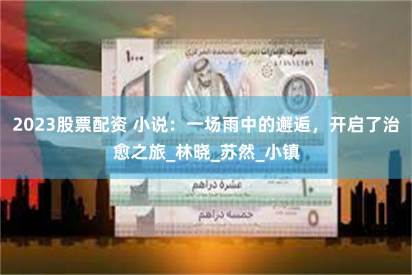 2023股票配资 小说：一场雨中的邂逅，开启了治愈之旅_林晓_苏然_小镇
