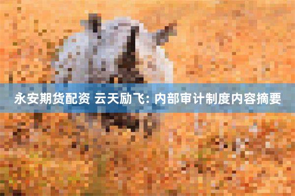 永安期货配资 云天励飞: 内部审计制度内容摘要