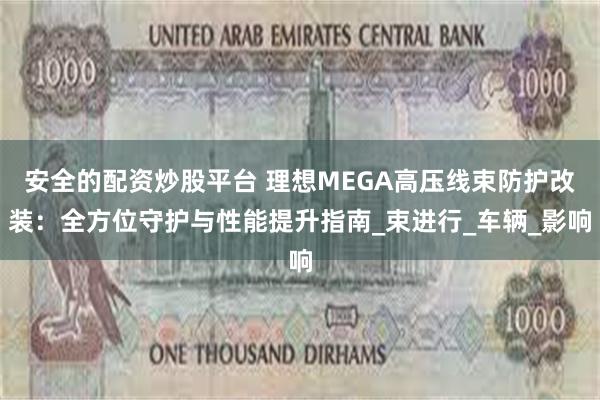 安全的配资炒股平台 理想MEGA高压线束防护改装：全方位守护与性能提升指南_束进行_车辆_影响