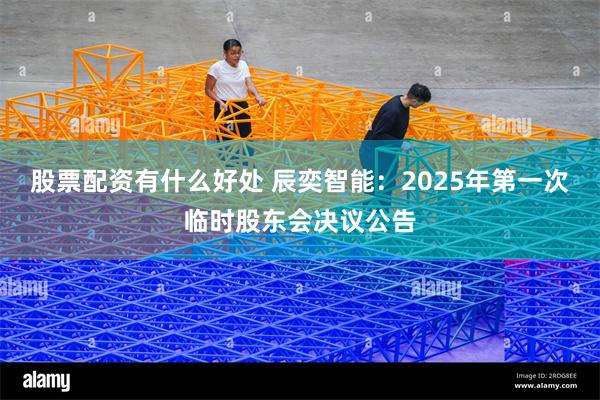 股票配资有什么好处 辰奕智能：2025年第一次临时股东会决议公告